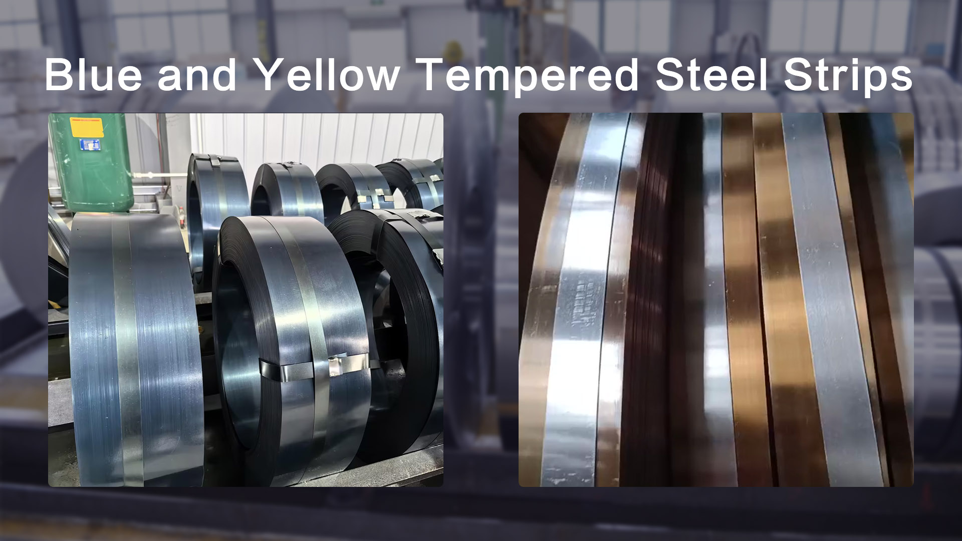 Azul & Yellow Tempered Strips